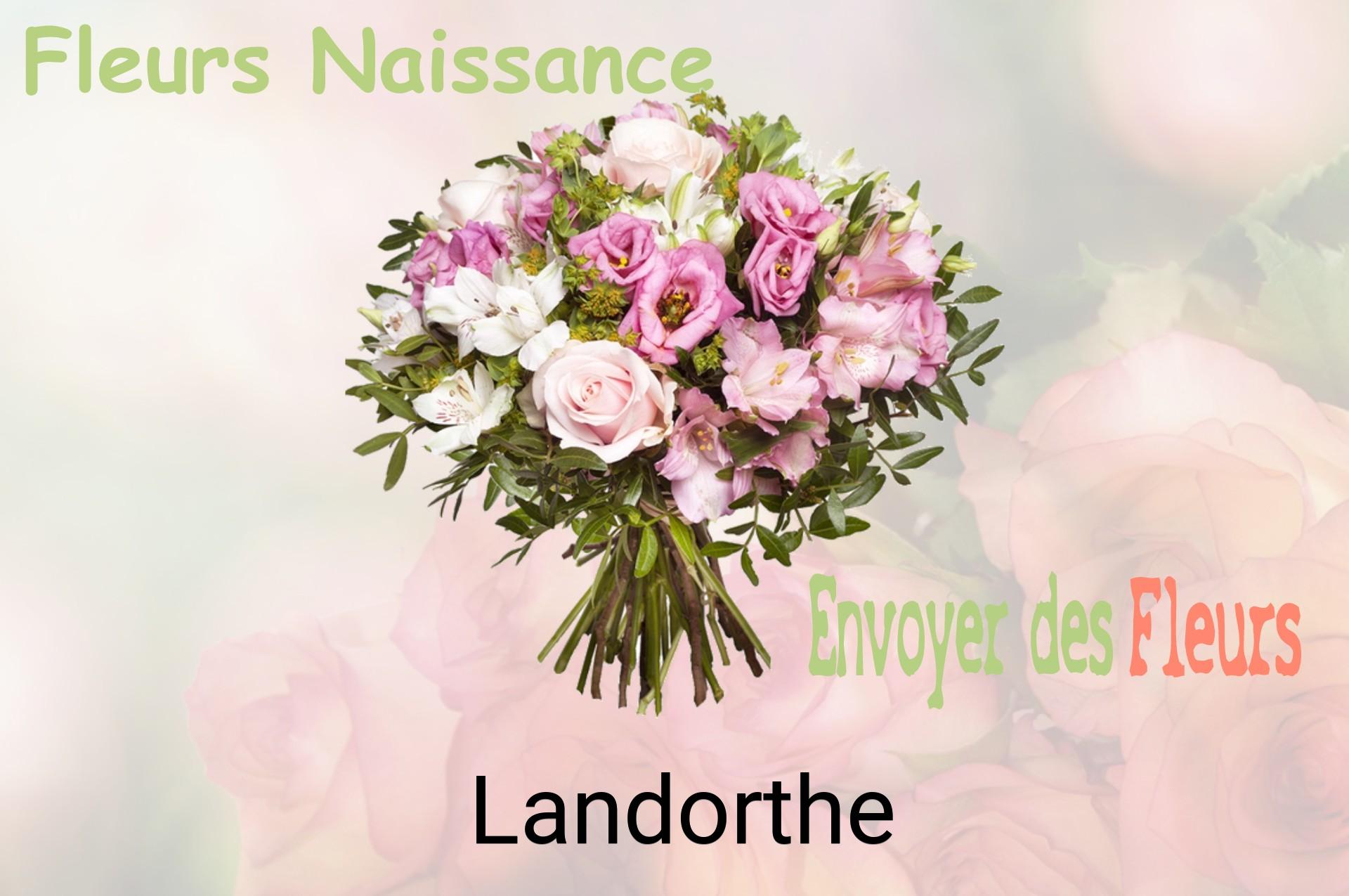 Bouquet de fleurs de naissance livré à Landorthe