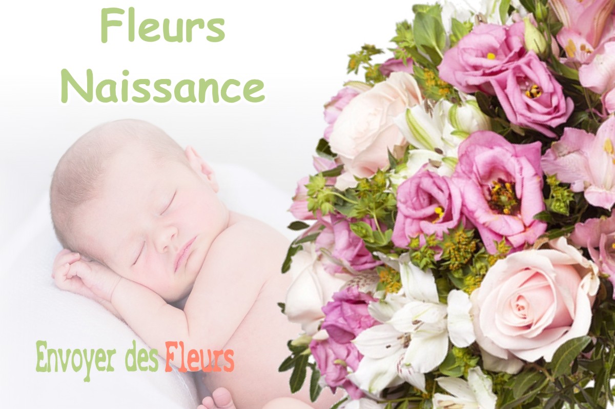 lIVRAISON FLEURS NAISSANCE à LANDORTHE